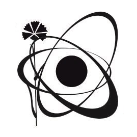 БФ выпускников ФТФ ХНУ им. В. Н. Каразина